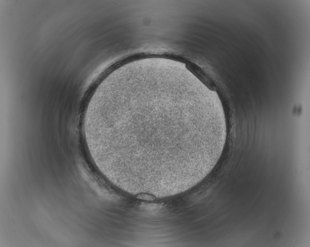 X0000112380440200909241219