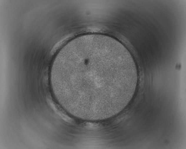 X0000112380442200909241219