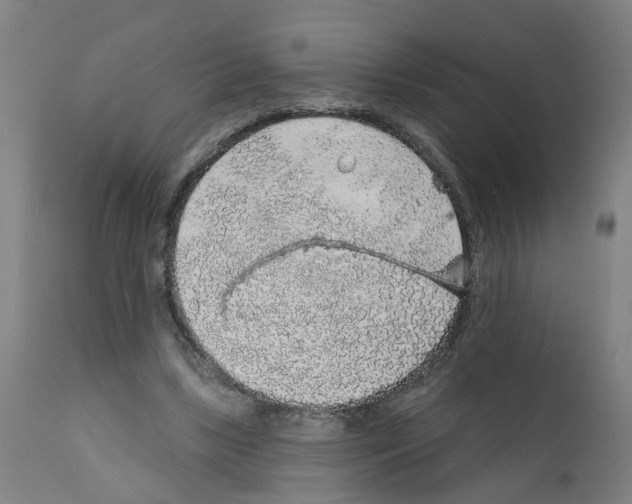 X0000112380443200909241219