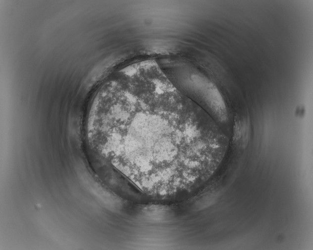 X0000112380444200909241219