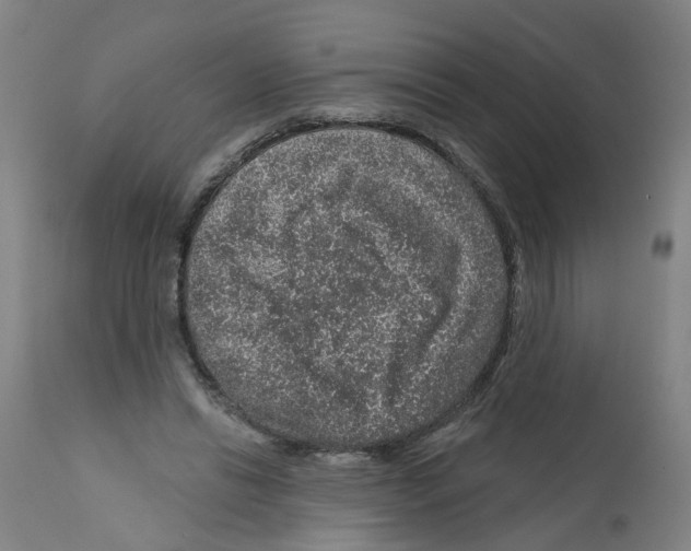 X0000112380446200909241219