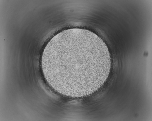 X0000112380447200909241219