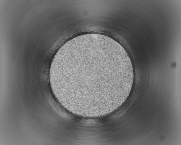 X0000112380449200909241219