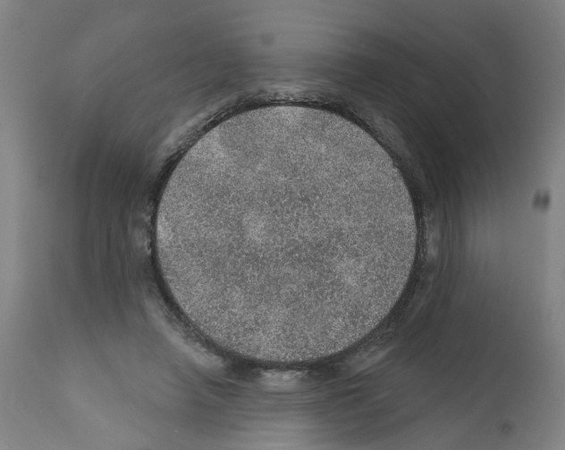 X0000112380450200909241219