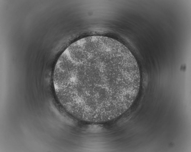 X0000112380451200909241219