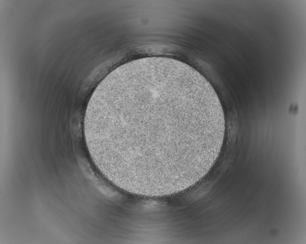 X0000112380453200909241219