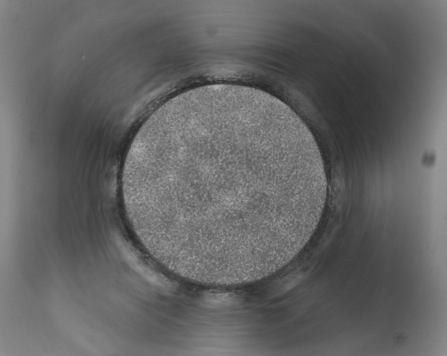 X0000112380454200909241219