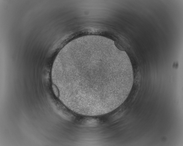 X0000112380456200909241219