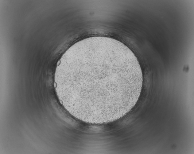 X0000112380457200909241219