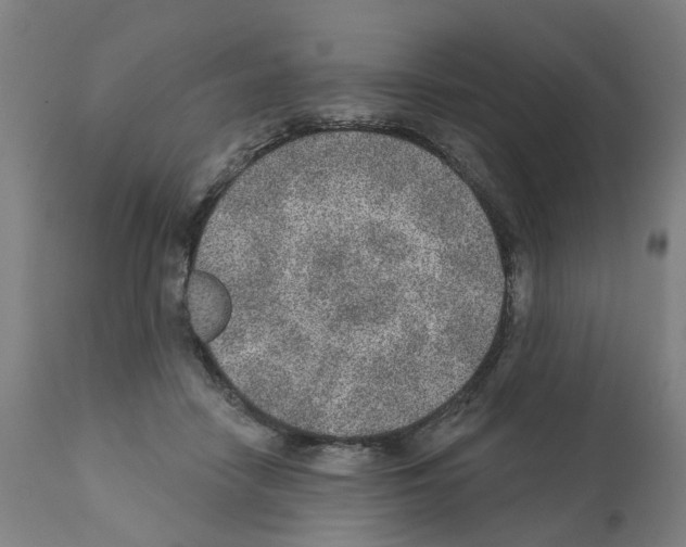 X0000112380458200909241219