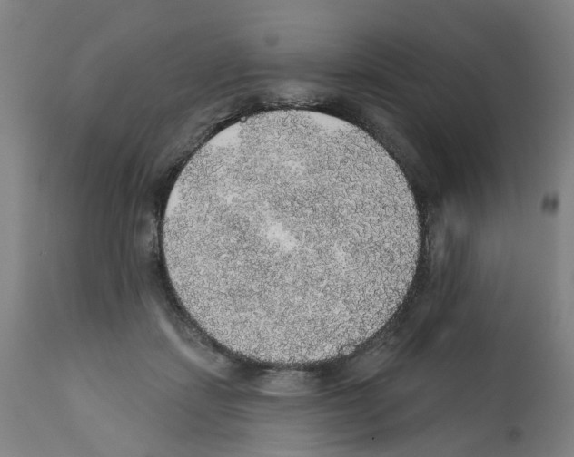 X0000112380459200909241219