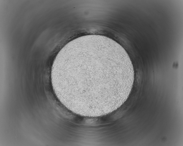 X0000112380461200909241219