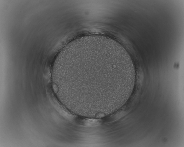 X0000112380465200909241219