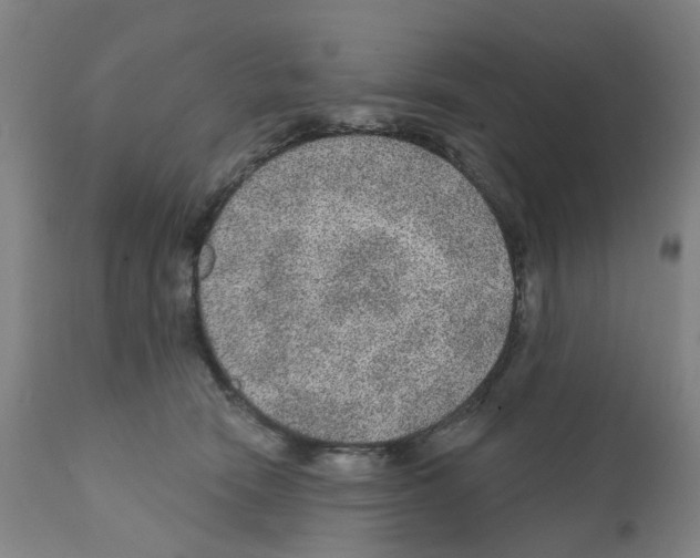 X0000112380466200909241219