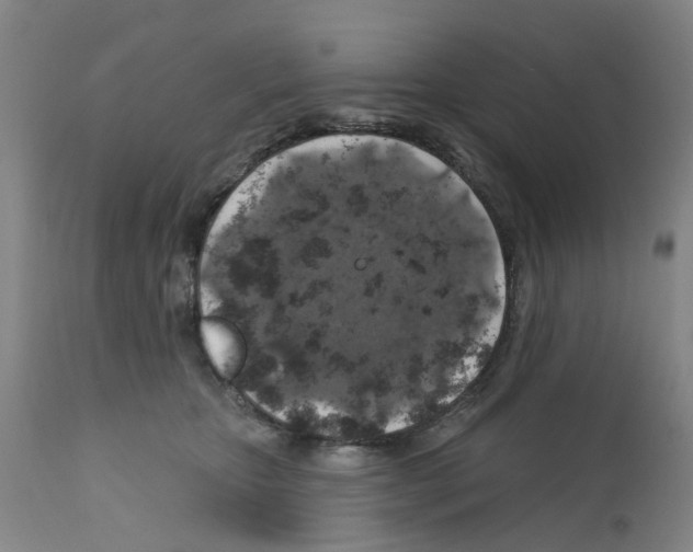 X0000112380467200909241219