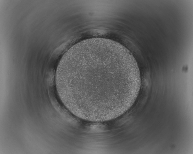 X0000112380468200909241219