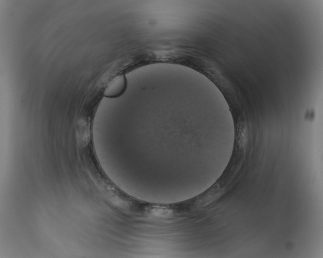 X0000112380471200909241219