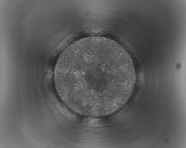 X0000112380472200909241219