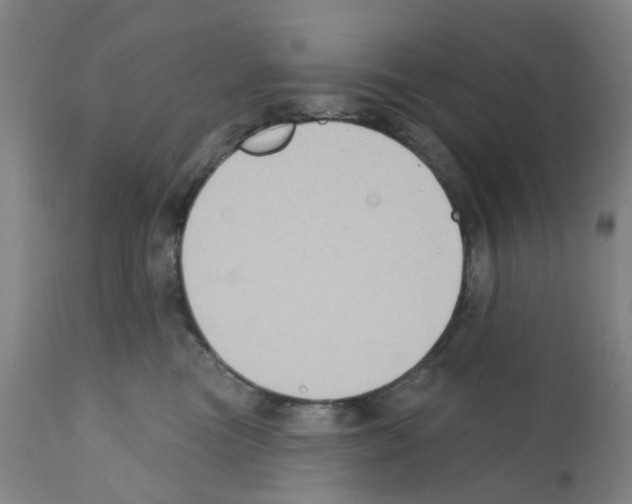 X0000112380473200909241219