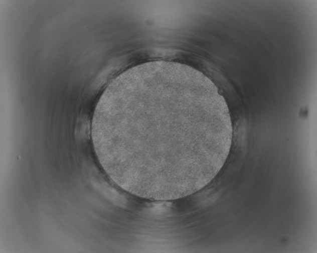 X0000112380474200909241219