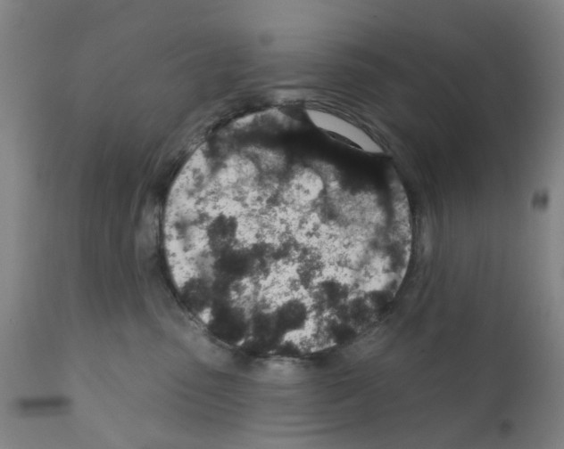 X0000112380475200909241219