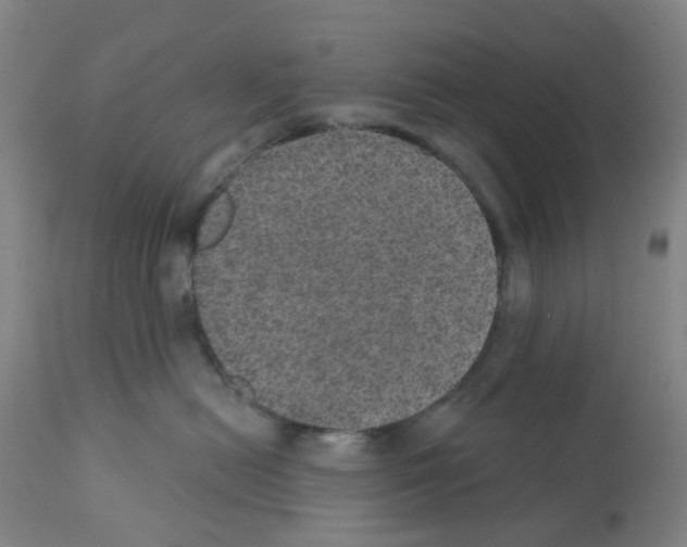 X0000112380478200909241219