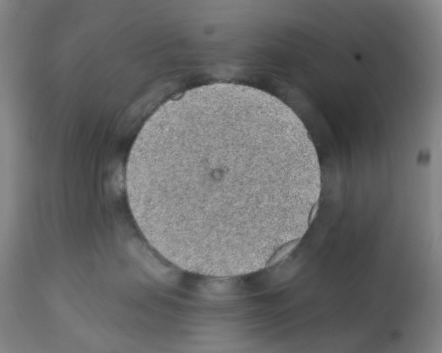 X0000112380479200909241219