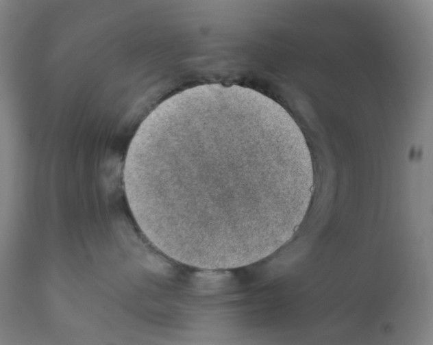 X0000112380480200909241219