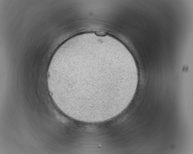 X0000112380481200909241218