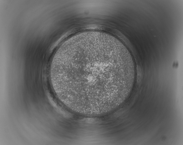 X0000112380482200909241218