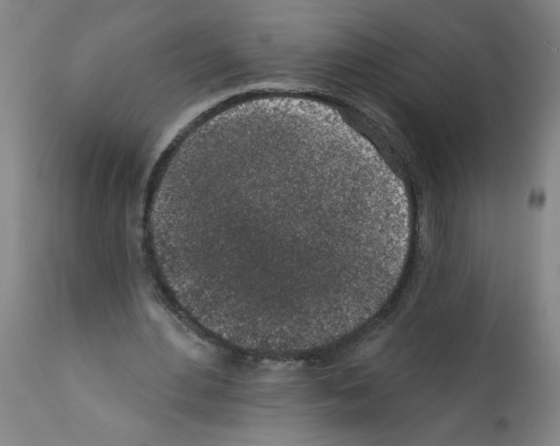 X0000112380484200909241218