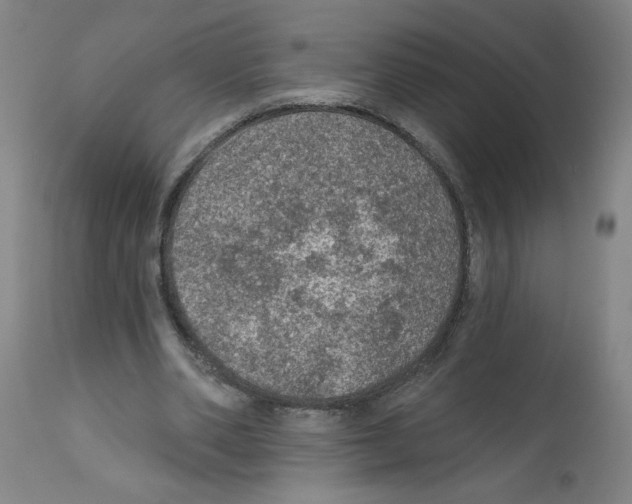 X0000112380486200909241218