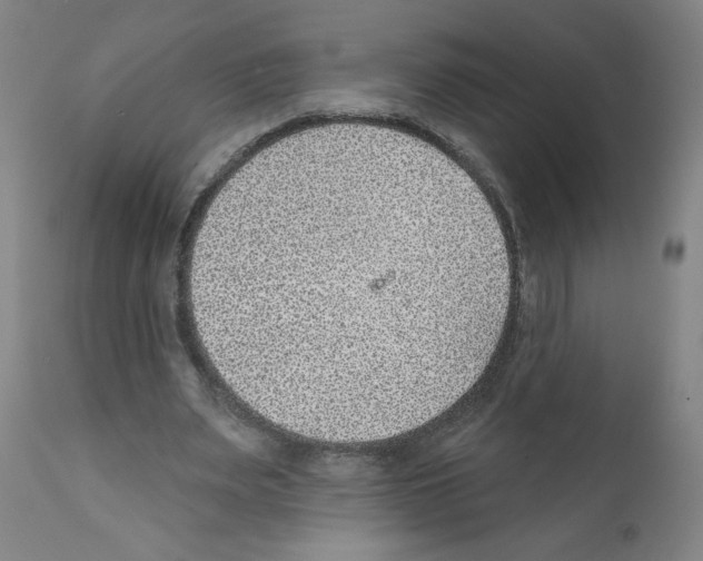 X0000112380487200909241218