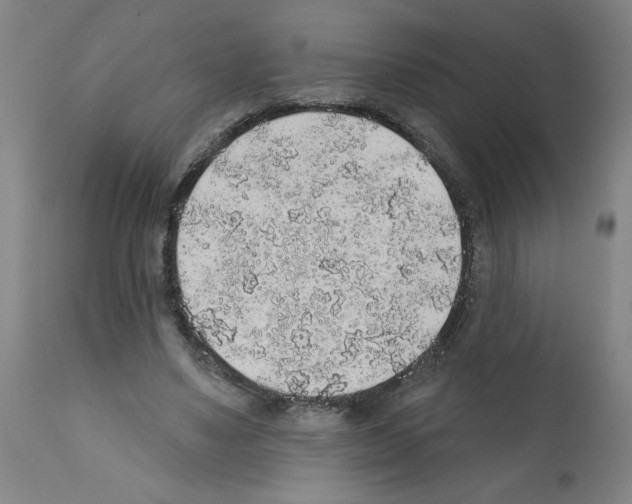 X0000112380491200909241218