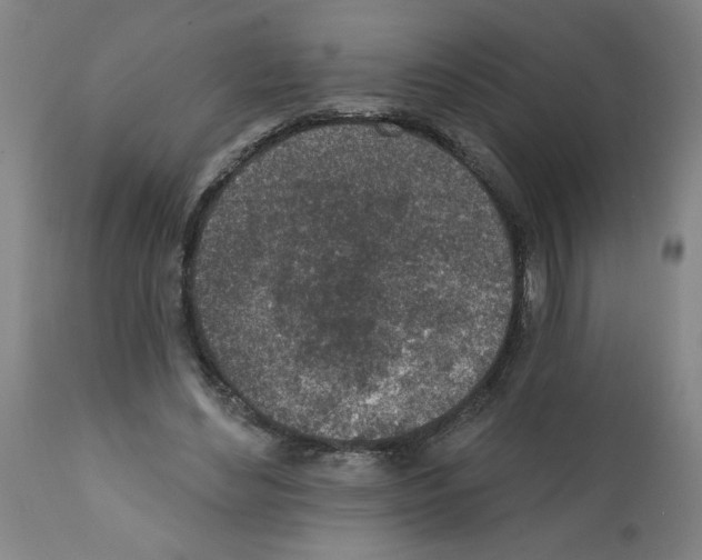 X0000112380492200909241218