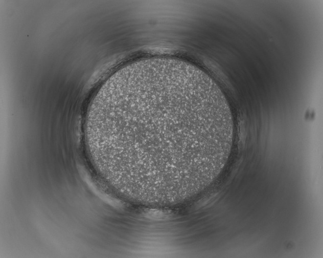 X0000112380494200909241218