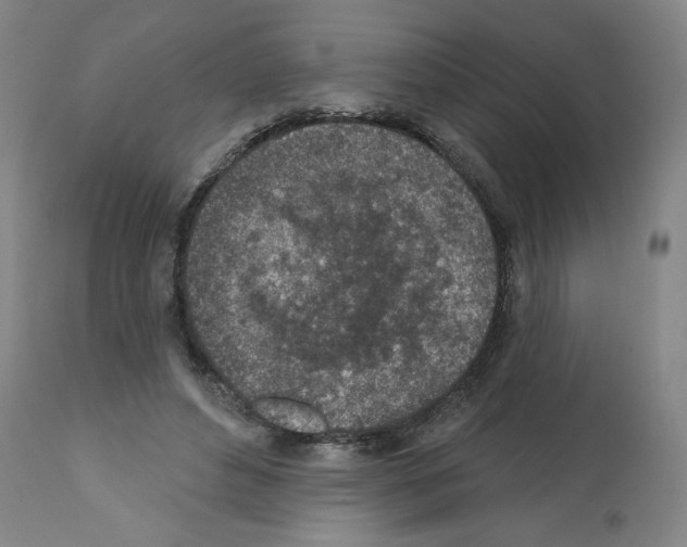 X0000112380496200909241218