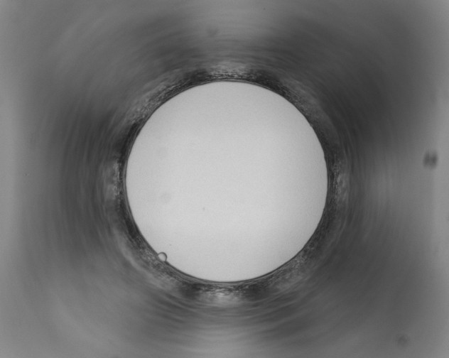 X0000112380498200909241218