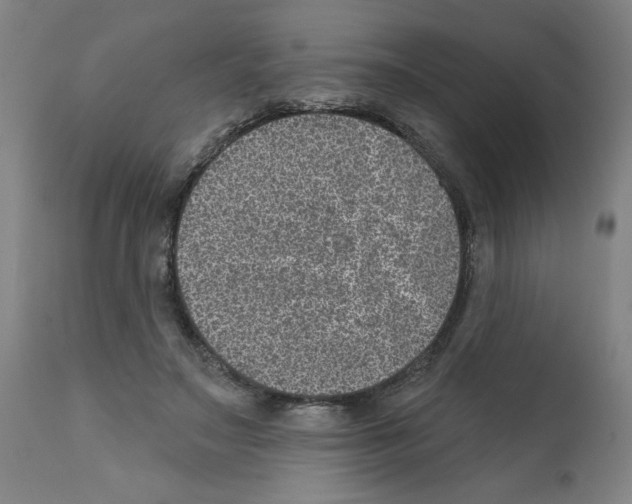 X0000112380499200909241218