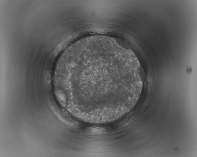 X0000112380500200909241218