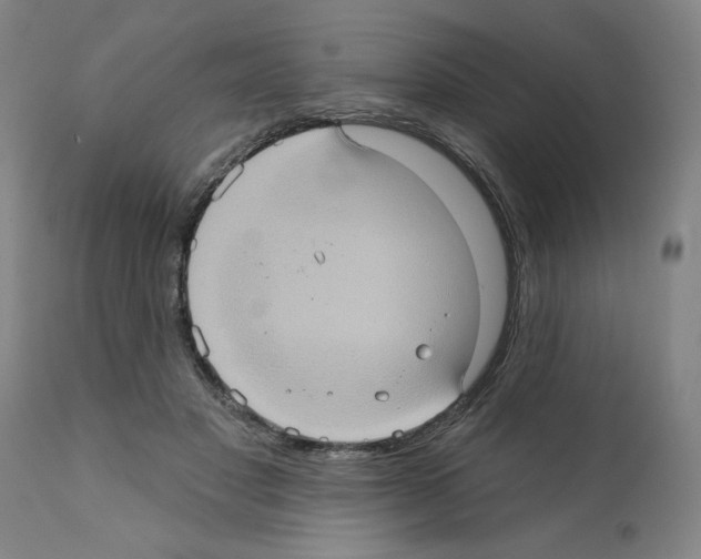 X0000112380501200909241218