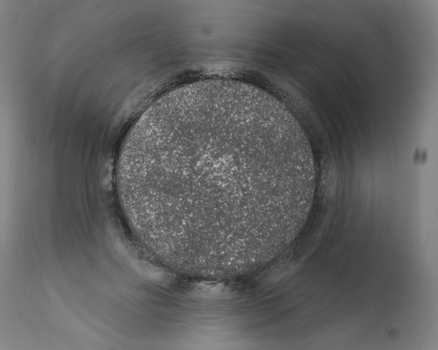 X0000112380502200909241218