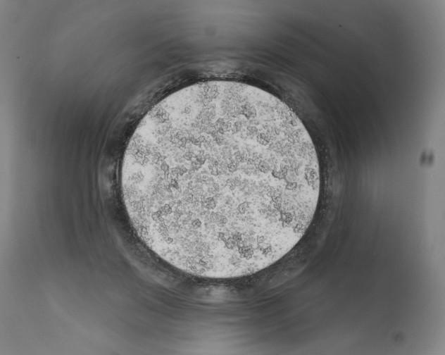 X0000112380503200909241218