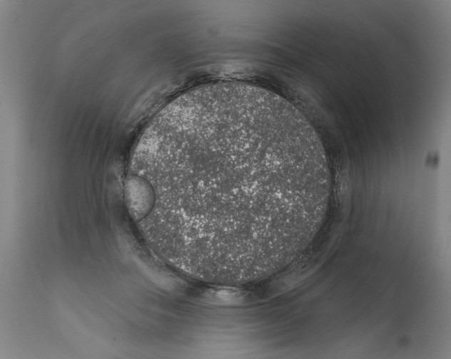 X0000112380506200909241218