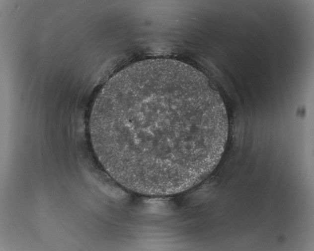 X0000112380516200909241218