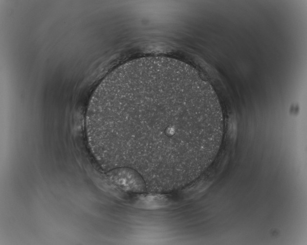 X0000112380517200909241218