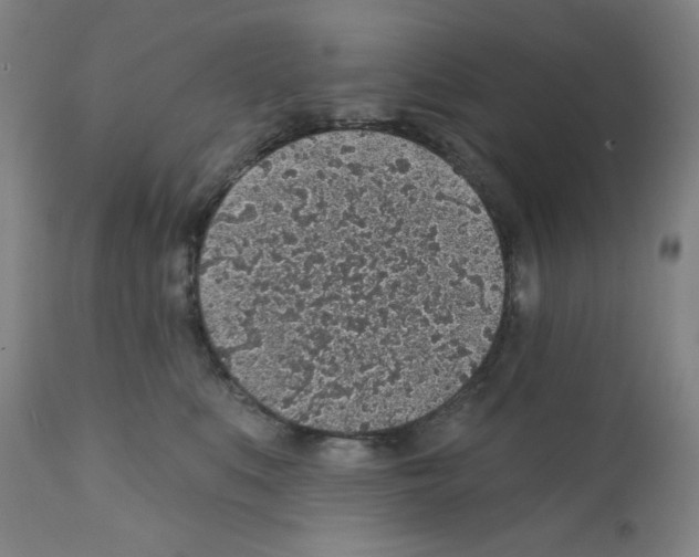 X0000112380519200909241218