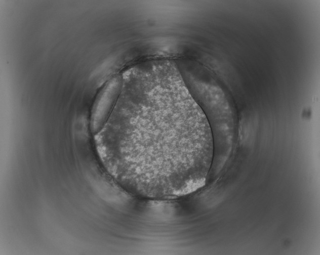 X0000112380520200909241218