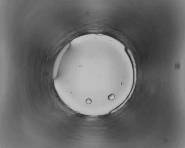 X0000112380521200909241218