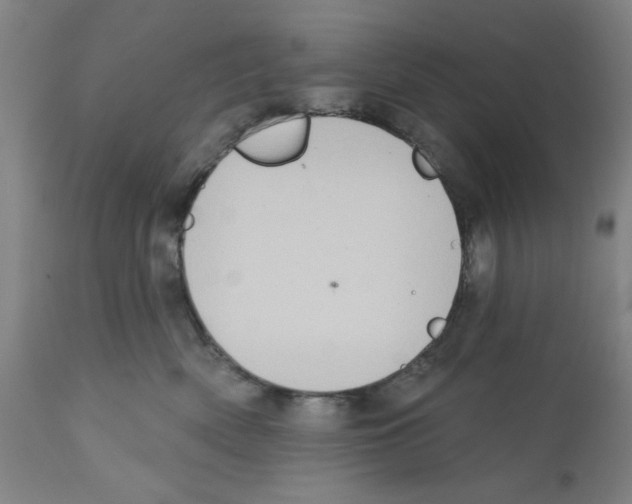 X0000112380522200909241218